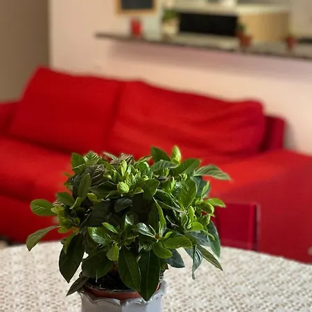 La Casetta Di Sasa Intero