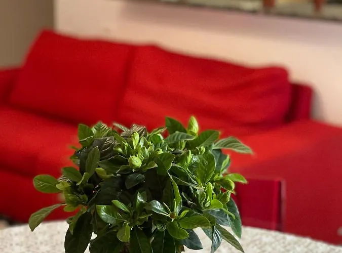 La Casetta Di Sasa Intero